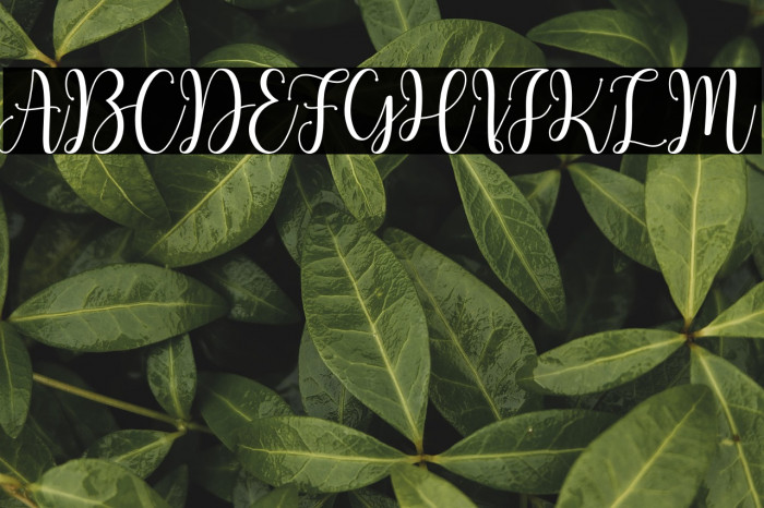 HelloCattiaDemo Example 3