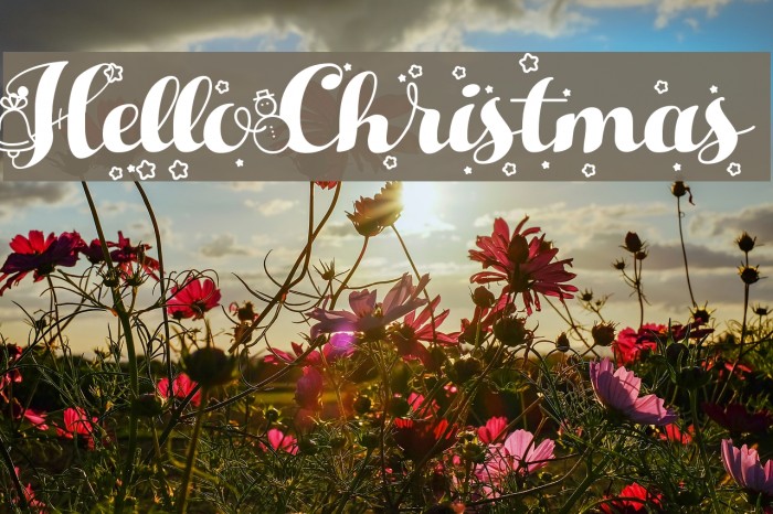 HelloChristmas Font examples