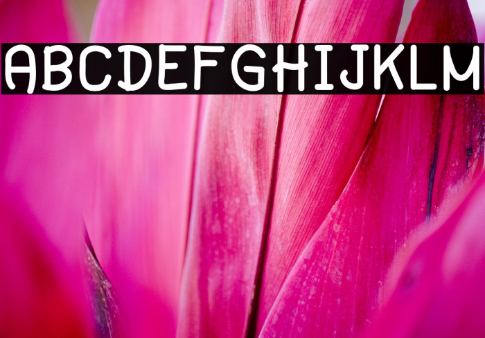 HelloDay-Regular Font examples