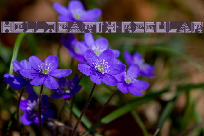 HelloEarth-Regular Example 3