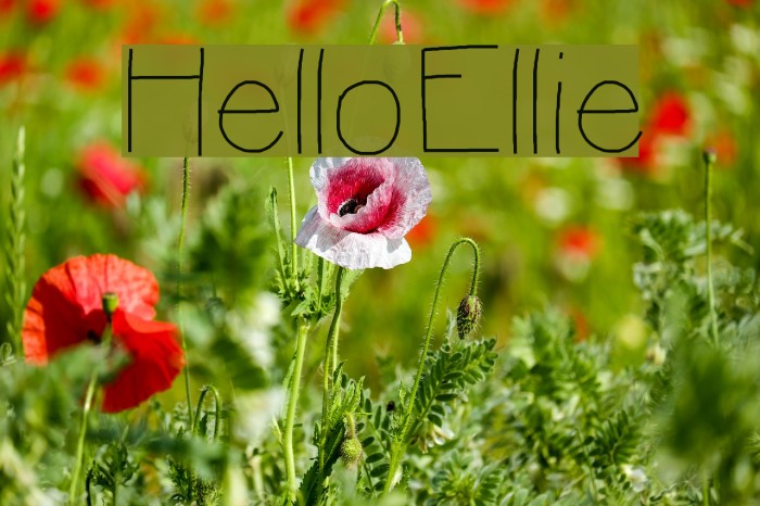 HelloEllie Font examples