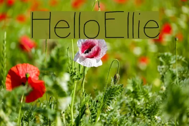 HelloEllie Example 3