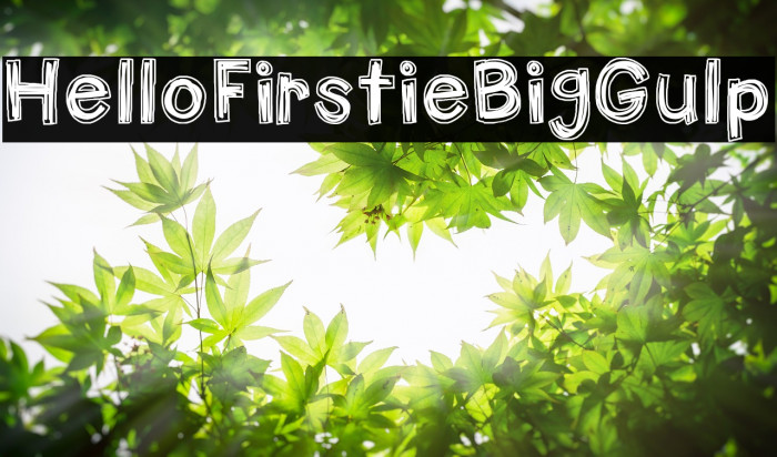 HelloFirstieBigGulp Font examples