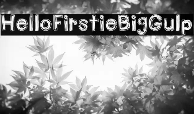 HelloFirstieBigGulp Font examples