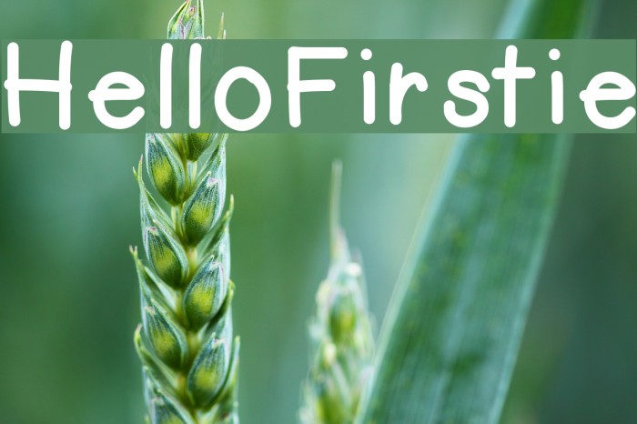 HelloFirstie Font examples