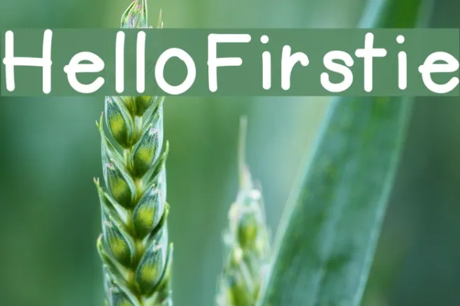HelloFirstie Example 1