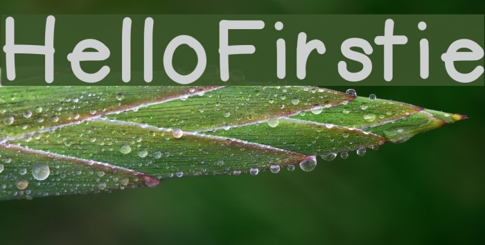 HelloFirstie Font examples