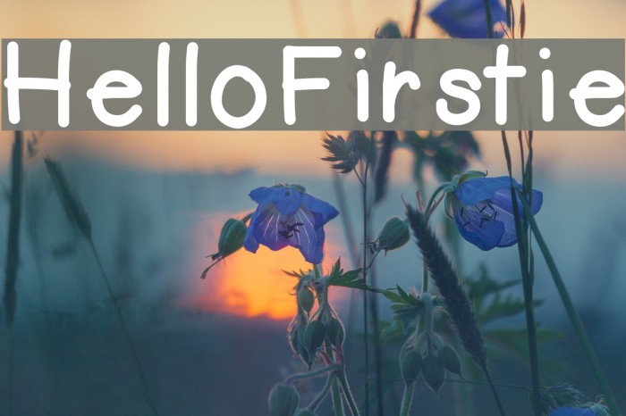 HelloFirstie Font examples