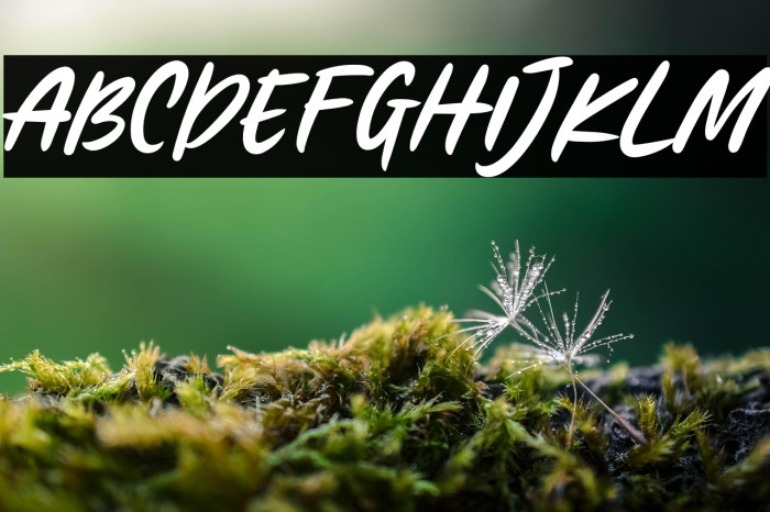 HelloFlorida-Regular Example 2