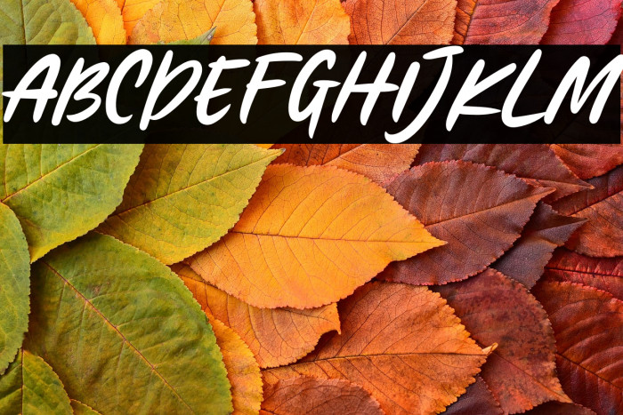 HelloFlorida-Regular Example 3