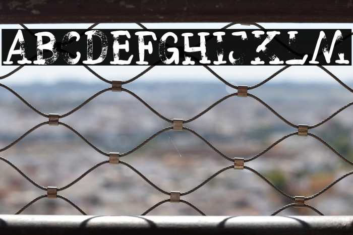 HelloFridayVectorDEMO Example 2