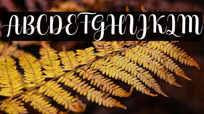 HelloGeorginaScript Example 1