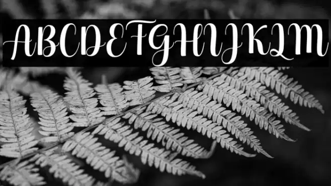 HelloGeorginaScript Font examples