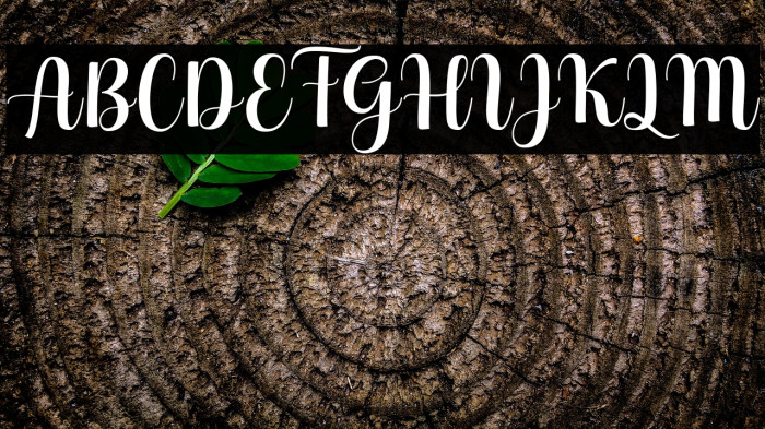 HelloGeorginaScript Example 2