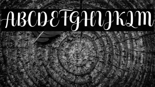 HelloGeorginaScript Font examples