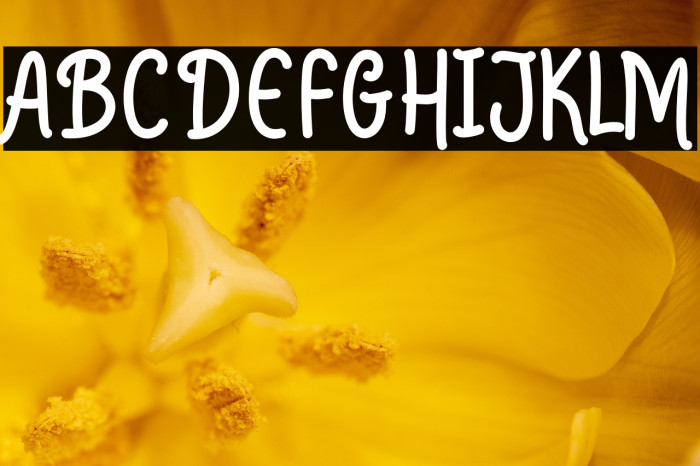 HelloGrizellesans Example 3