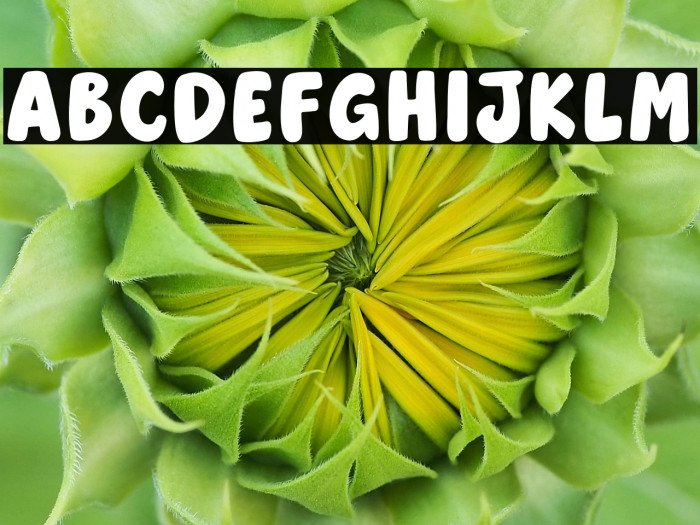 HelloJerry Example 1