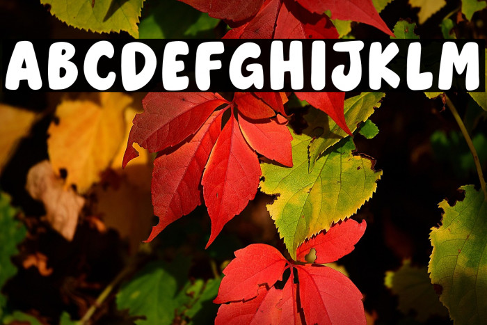 HelloJerry Example 3