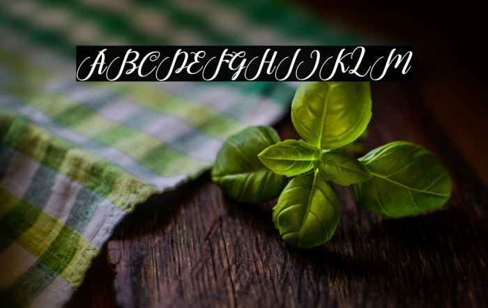 HelloJunita Example 1