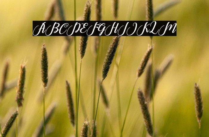 HelloJunita Example 2