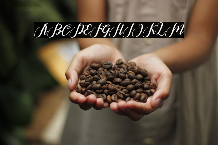 HelloJunita Example 3