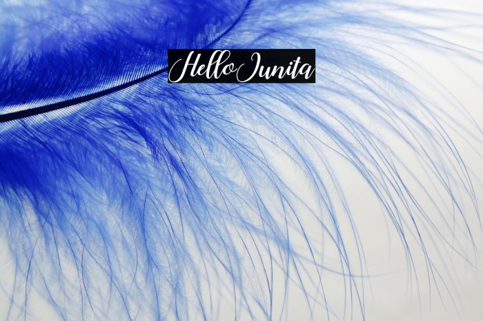 HelloJunita Example 2