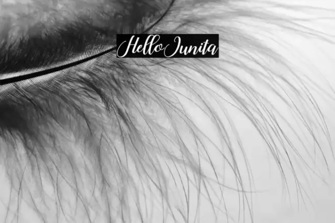 HelloJunita Font examples