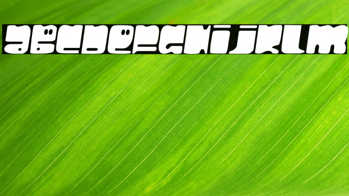 HelloLarry-Regular Example 1