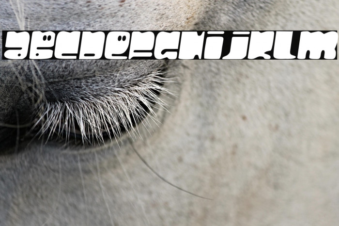 HelloLarry-Regular Example 3