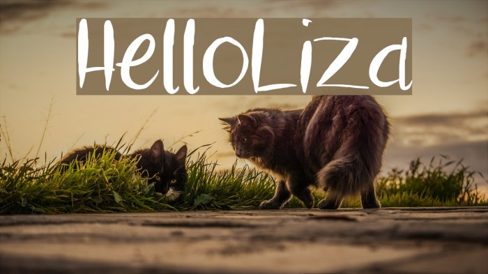 HelloLiza Font examples