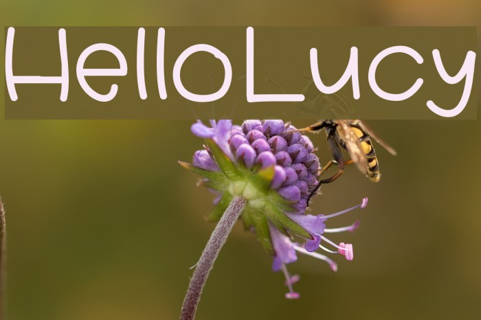 HelloLucy Font examples