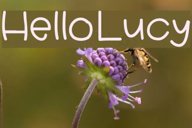 HelloLucy Example 3
