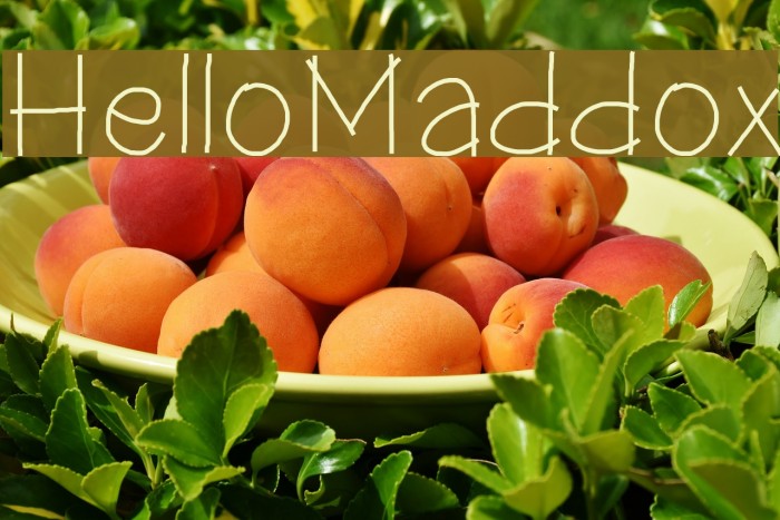 HelloMaddox Font examples