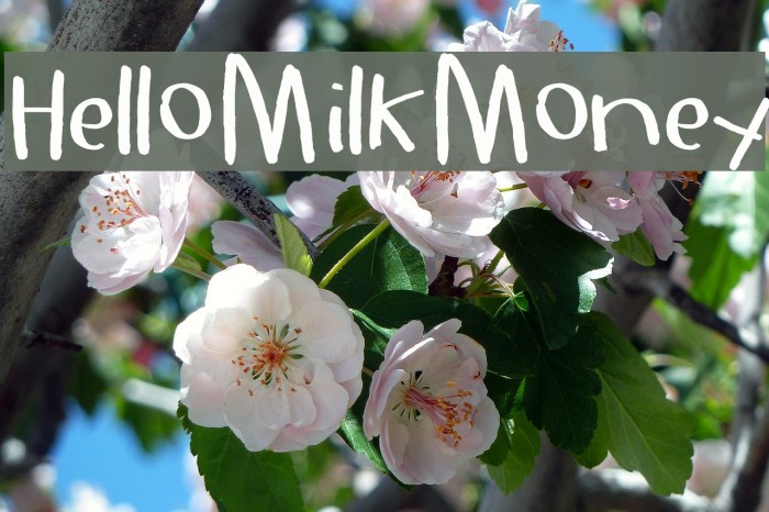 HelloMilkMoney Example 3