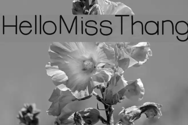 HelloMissThang Font examples