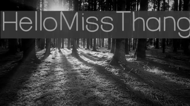 HelloMissThang Font examples