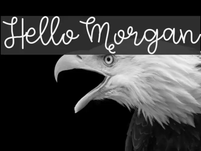 HelloMorgan Шрифта examples