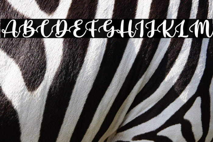 HelloPiratesPersonalUse Example 1