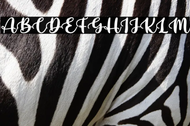 HelloPiratesPersonalUse Example 1