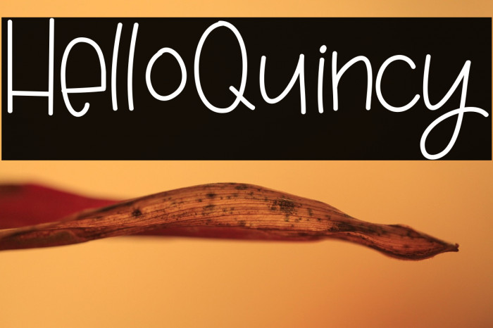 HelloQuincy Example 1