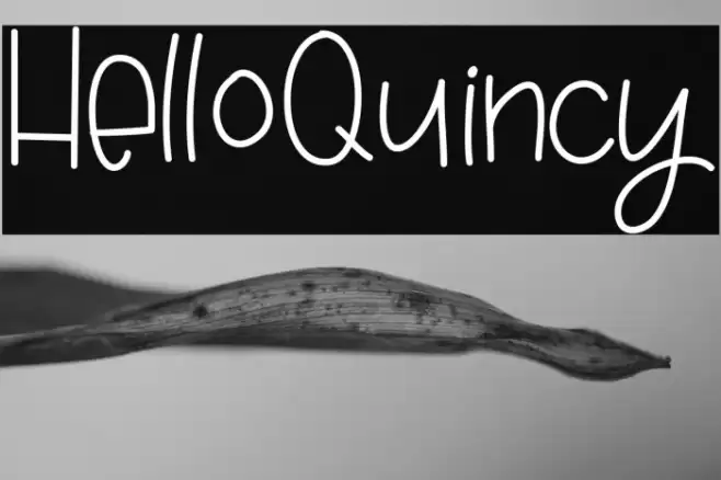 HelloQuincy Font examples