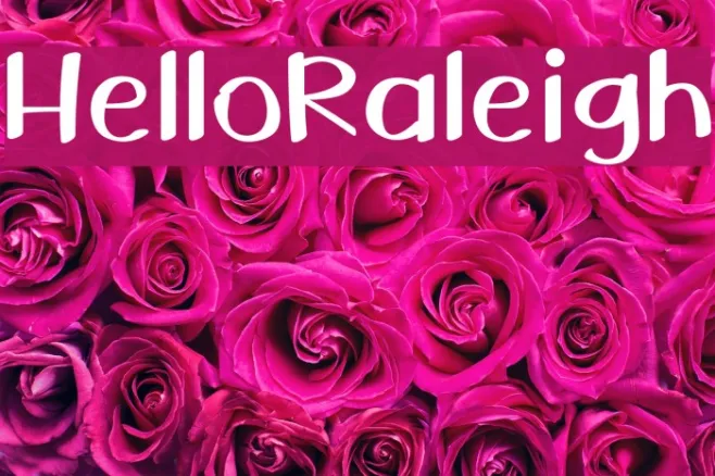 HelloRaleigh Example 2
