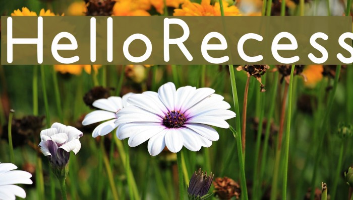 HelloRecess Font examples