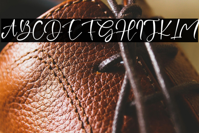 HelloSannie Example 2