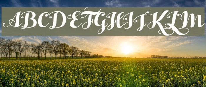 HelloScriptTrial Example 2