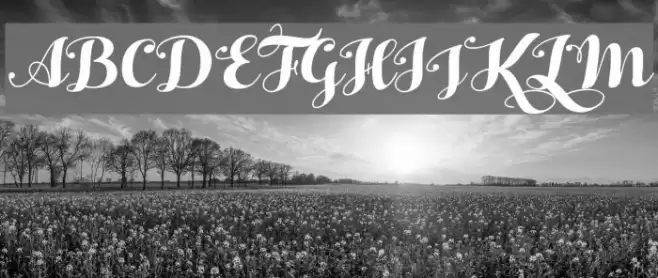 HelloScriptTrial Font examples