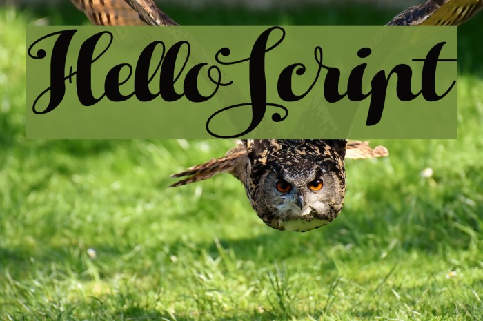 HelloScript Font examples