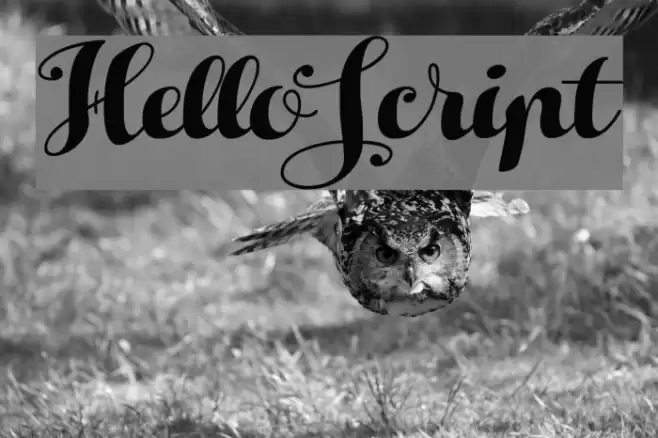 HelloScript Font examples