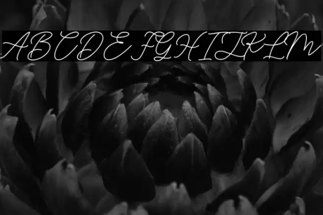 HelloSignature Font examples