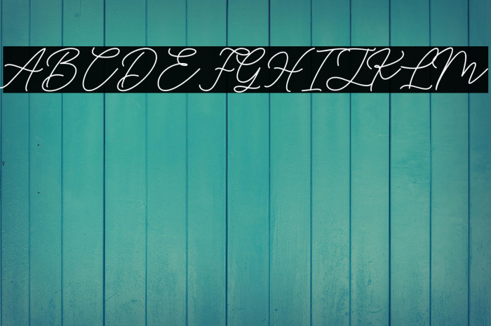 HelloSignature Example 3